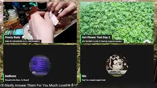 Live smoke sesh