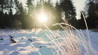 Guided Meditation for Anger | Using the Breath as Your Anchor