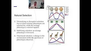 H#29 Population Genetics And Conservation