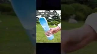 Multifunctional Pet Outing Care Cup