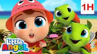 Terrific Turtle Rescue! 😁⛑🐢 | Hobbies | Little Angel | Compilation | Moonbug Kids