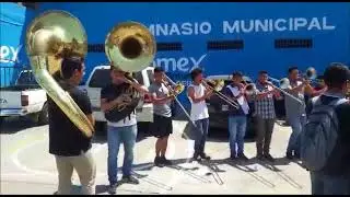 Latin Band Pedro Molina 