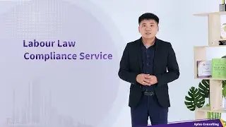 Labor Law Compliance Service