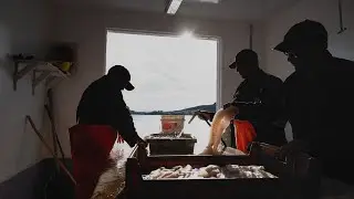 Rebuilding Fish Populations Can Be Our Legacy