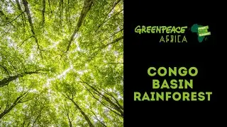 Save Congo Basin Forest