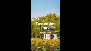 Beijing Allure&mdash;Taoranting Park