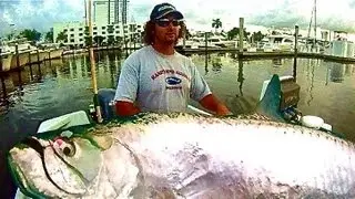 Unforgettable Battle: Big Tarpon Extravaganza with Captain Jeff the Lunkerdog! 🌊🐟