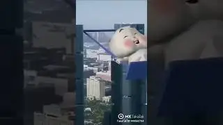 whats app status video || cut rabbit. 🐇🐰