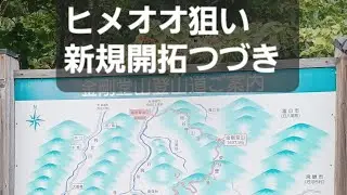 ヒメオオ新規開拓つづき