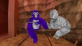 Introducing fpsvr