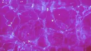 FREE 'Pink Water' Ugly God x Lil Yachty Type Beat  Instrumental