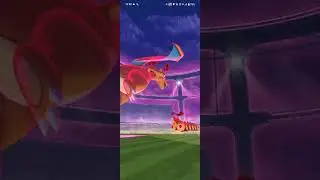 Dynamax Falinks - Solo