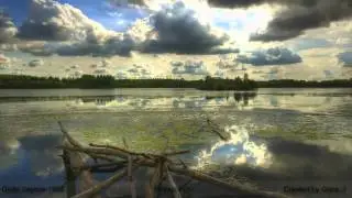 Divlje Jagode - Potrazi Put