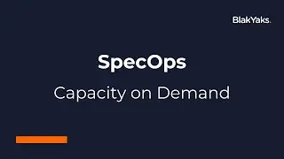 BlakYaks SpecOps Service - Capacity on Demand