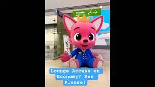 Leaving Seoul | Cathay Pacific Economy with Lounge Access! #shortvideo #travel