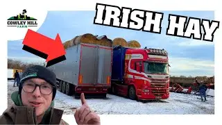 WE BOUGHT HAY FROM IRELAND
