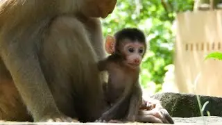 Newborn Brady Start Sitting Look So Good