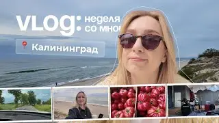 WEEKVLOG #2: БАРАБАНЫ // мое новое хобби / поездка в Калининград