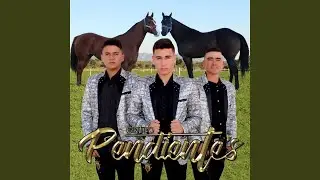 Cuadra Kino