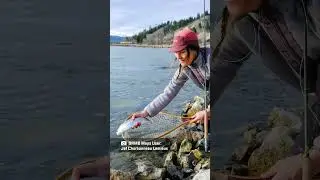 Fishing Point of Interest Preview! #brmbmaps