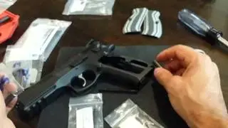 CZ 75 SP 01 Magwell and Hammer Spring Install