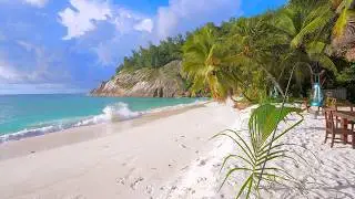 🏝 Crystal Turquoise Waters in Seychelles. Ocean 4K Ultra HD