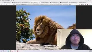 Leo Full Moon | NEPTUNE & SATURN IN ARIES | ASTROLOGY episode 1