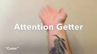 Deaf Dog Sign Language: 