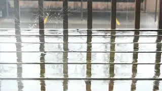 Rain on bench - No Copyright and Royalty Free Video
