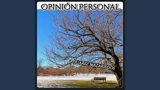 Opini&oacute;n Personal (Demo)
