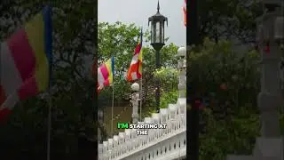Sri Lanka's Grandest Buddhist Festival: Kandy Procession Unveiled #shorts