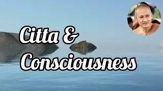 Relationship between Citta and Consciousness [Eng/Thai] &para; Tan Ajahn Dtun