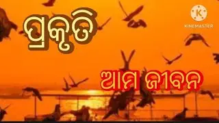 ପ୍ରକୃତି | Nature Odia Poem | ହୃଦୟସ୍ପର୍ଶୀ କବିତା 