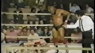 Bret Hart vs Bad News Allen  ( Ladder Match )