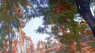 গজল, Best Islamic Way of Life Gojol, কোরআন আমাদের গাইড গজল গান, Quran is Our Guide Gojol Song, 