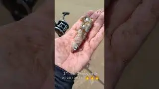 in&iacute;cio da temporada 2022/2023, pesca com drone litoral ga&uacute;cho RS