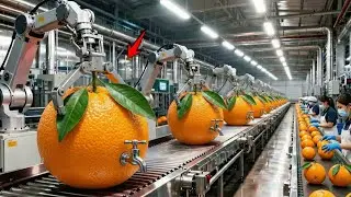 Inside the Orange Juice Factory &ndash; Full Process How Premium Juice Are Made
