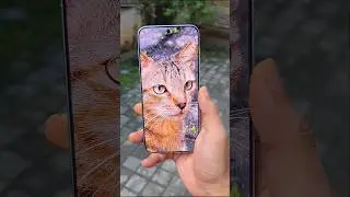 Vivo X300 Pro Camera Test 🔥