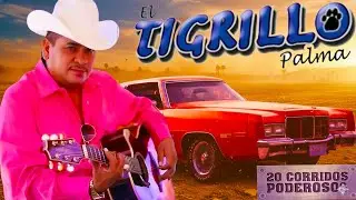 El Tigrillo Palma De Oro 💥 20 Exitos Puros Corridos Mix Para Pistear 2025