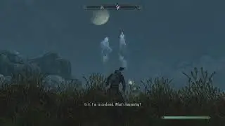 The most poignant moment in Skyrim