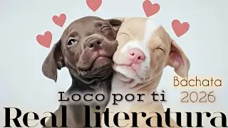 Real Literatura 