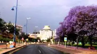 شيلة 