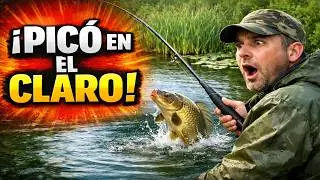 &iquest;Un campamento de besugos? &iexcl;No! Es la trampa en la que caes cada invierno.
