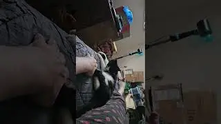 Skittles Tickle Feet