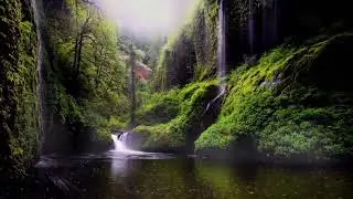 Rain sound | Relaxing | sleeping sound | rain noise