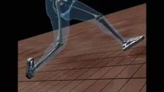 Computer Animated Slip-and-Fall with Injury