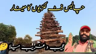 Going to Mela Dargah Bahram bari unique festival set fire of big wooden tower 