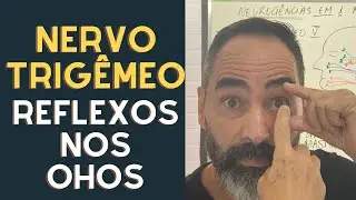 COMO EXPLICAR OS REFLEXOS NOS OLHOS ? NERVO TRIG&Ecirc;MEO
