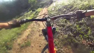 Jammin' Down Sky Harbor- Fresno, CA | NORCO Sight C1 29