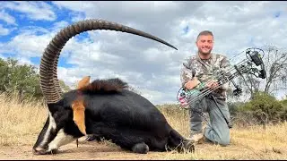South Africa Sable Bow Hunt - Spot and Stalk